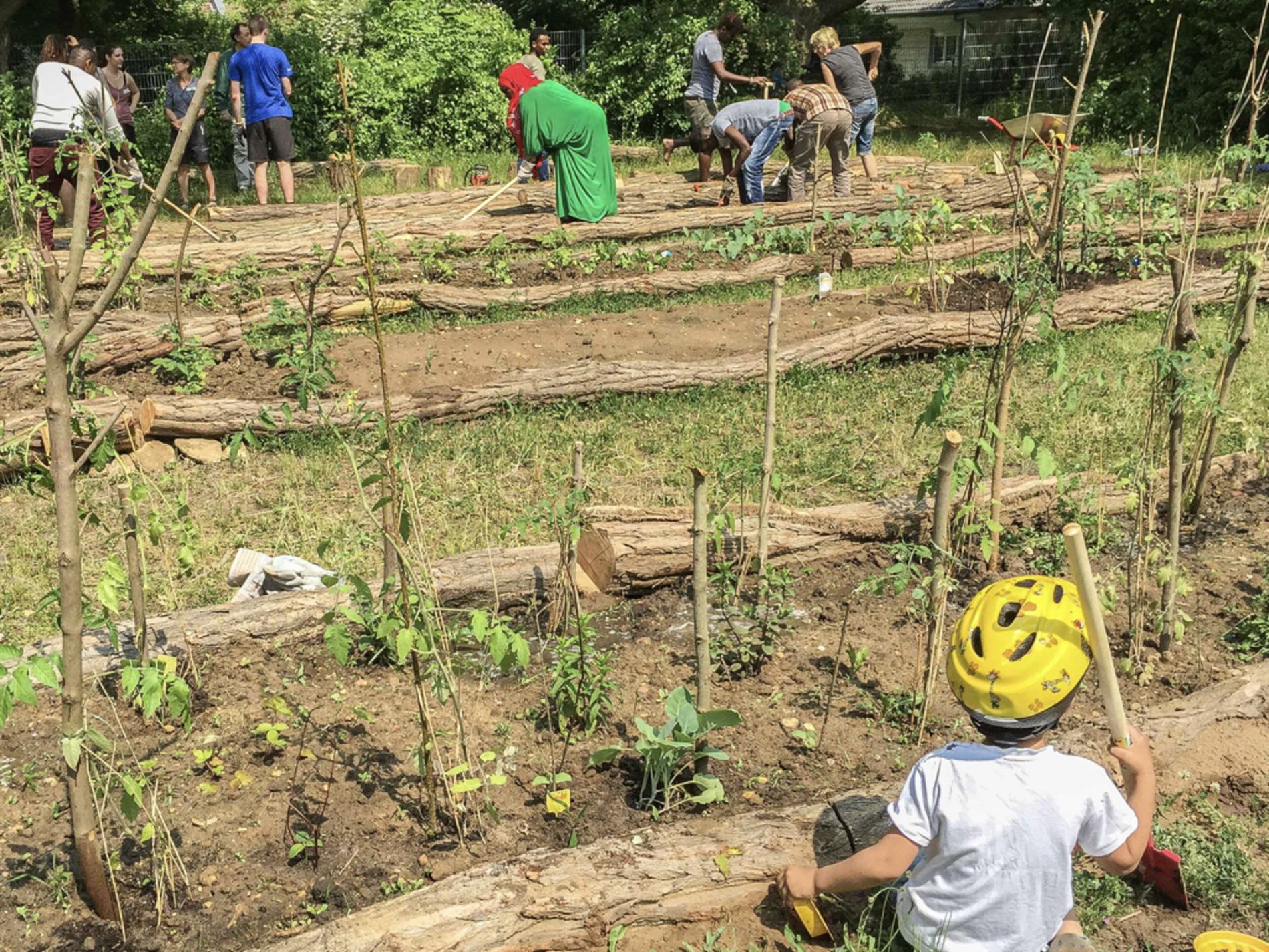 Mehrere Personen arbeiten gemeinsam in einem Gemeinschaftsgarten, pflanzen und pflegen Pflanzen in angelegten Beeten.